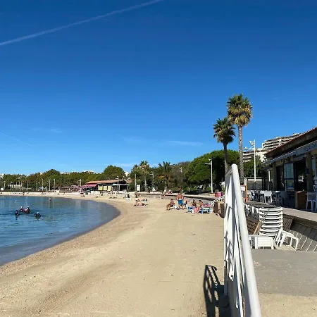 A 300 M A Pied De La Et Commerces Appartement *