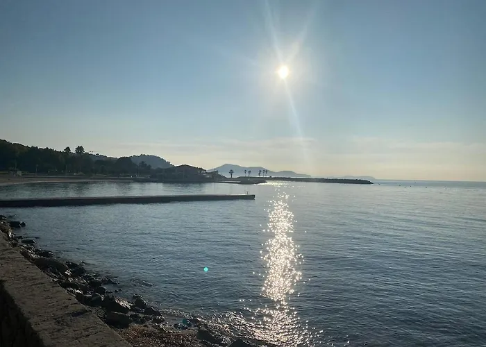 A 300 M A Pied De La Et Commerces Appartement